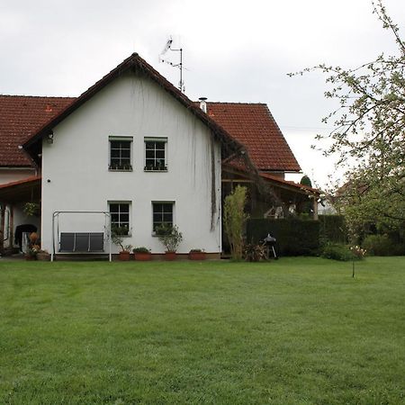 Krasny Apartman V Brane Luzickych Hor Cvikov Екстер'єр фото
