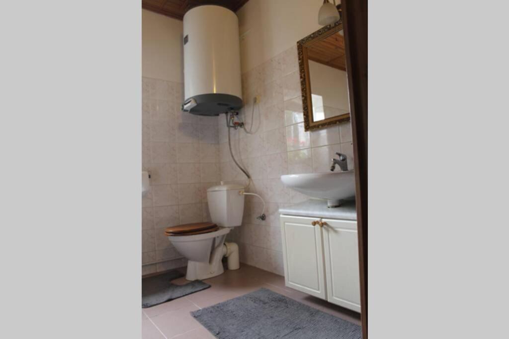 Krasny Apartman V Brane Luzickych Hor Cvikov Екстер'єр фото