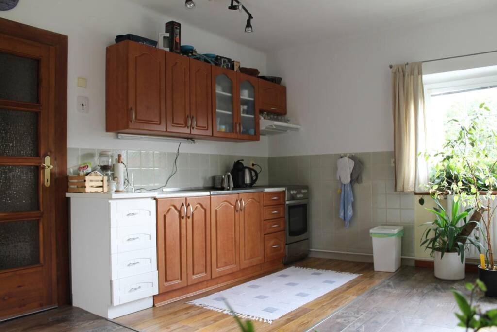 Krasny Apartman V Brane Luzickych Hor Cvikov Екстер'єр фото