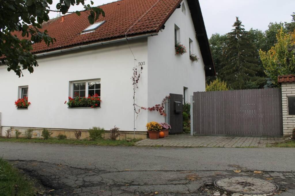 Krasny Apartman V Brane Luzickych Hor Cvikov Екстер'єр фото